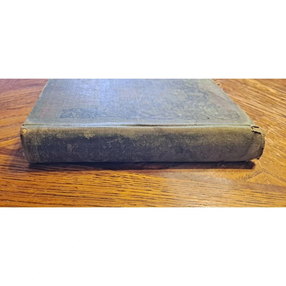 Progressive Course In Reading Fifth Book 1900s - Picture 3 of 11